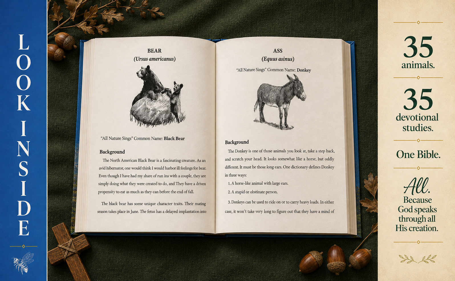 All Nature Sings look inside book campaign